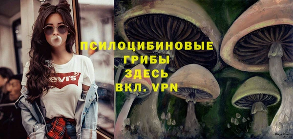 шишки Заполярный