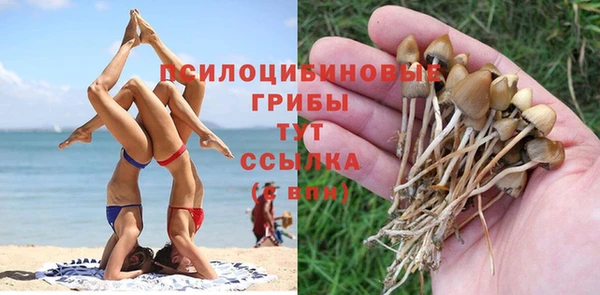 стаф Лиски