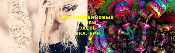 стаф Лиски