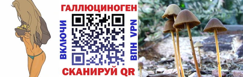 Галлюциногенные грибы мицелий  Мариинский Посад 